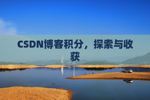 CSDN博客积分,探索与收获