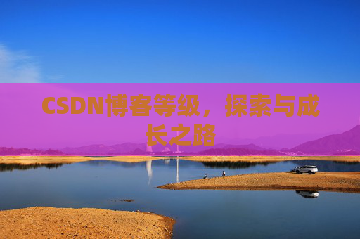 CSDN博客等级,探索与成长之路